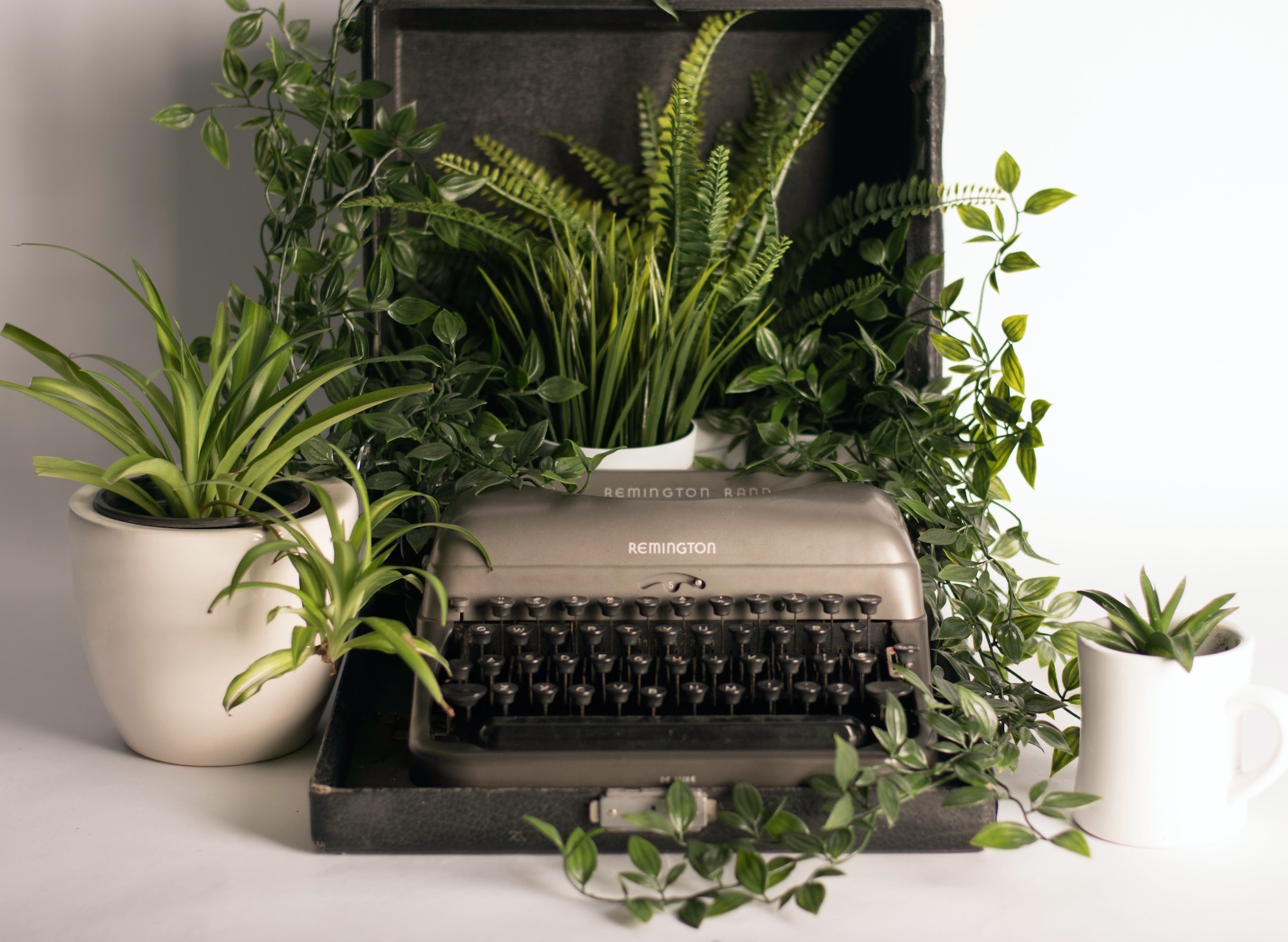 Write + Publish ebooks